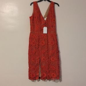 Dress the population red floral lace dress size XL